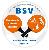 BSV Stechow (5er)