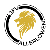 JFV Allerlöwen III