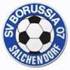 SV Borussia  Salchendorf II