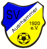 SV Auerhammer 2