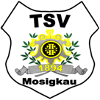 TSV 1894 Mosigkau II