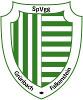 SpVgg Grünbach-Falkenstein e.V