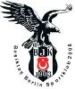 Besiktas JK Berlin o.W.