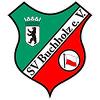 SV Buchholz / Papas and Friends