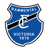 FC Victoria Bammental