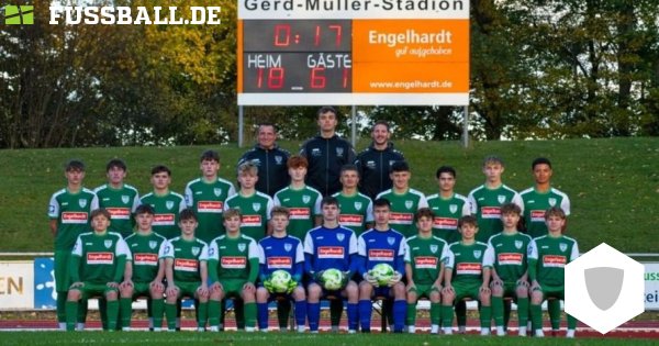 Maillot Vintage TSV 1861 Nördlingen Jako – Vert, Taille L, Bundesliga Allemande